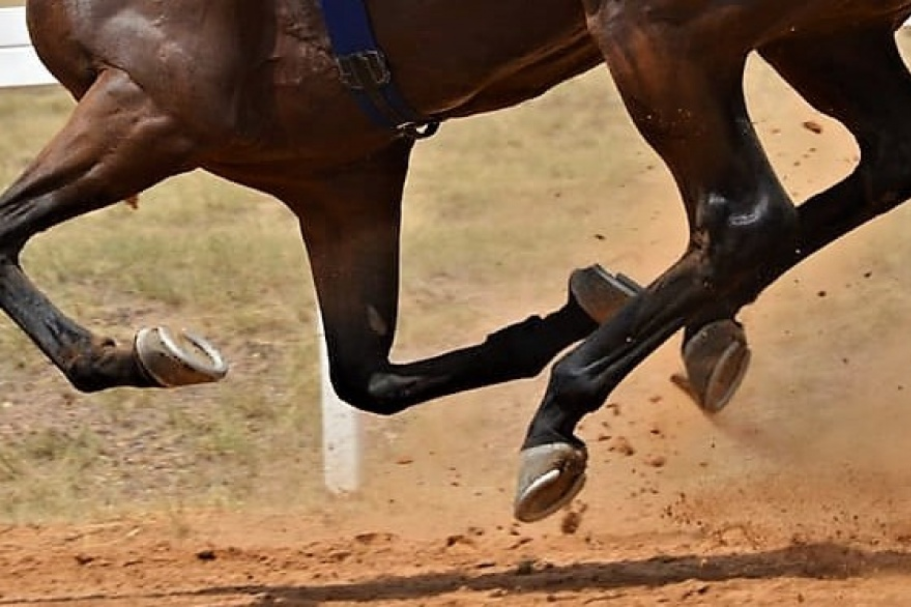 Centenario: acusado de atacar con un cuchillo a dos hermanos en una carrera clandestina. Foto Archivo.