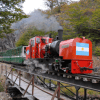 Imagen de Tren del Fin del Mundo en Ushuaia: cómo es el recorrido y cuánto cuesta