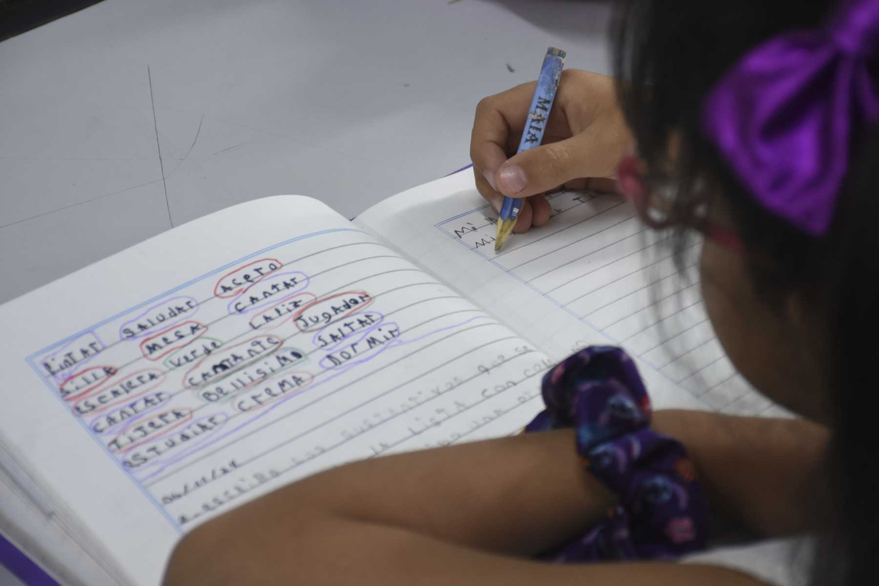 El aprendizaje y las formas de enseñanza en las escuelas rionegrinas, se pone en debate para llegar a una reforma consensuada. Foto: Juan Thomes