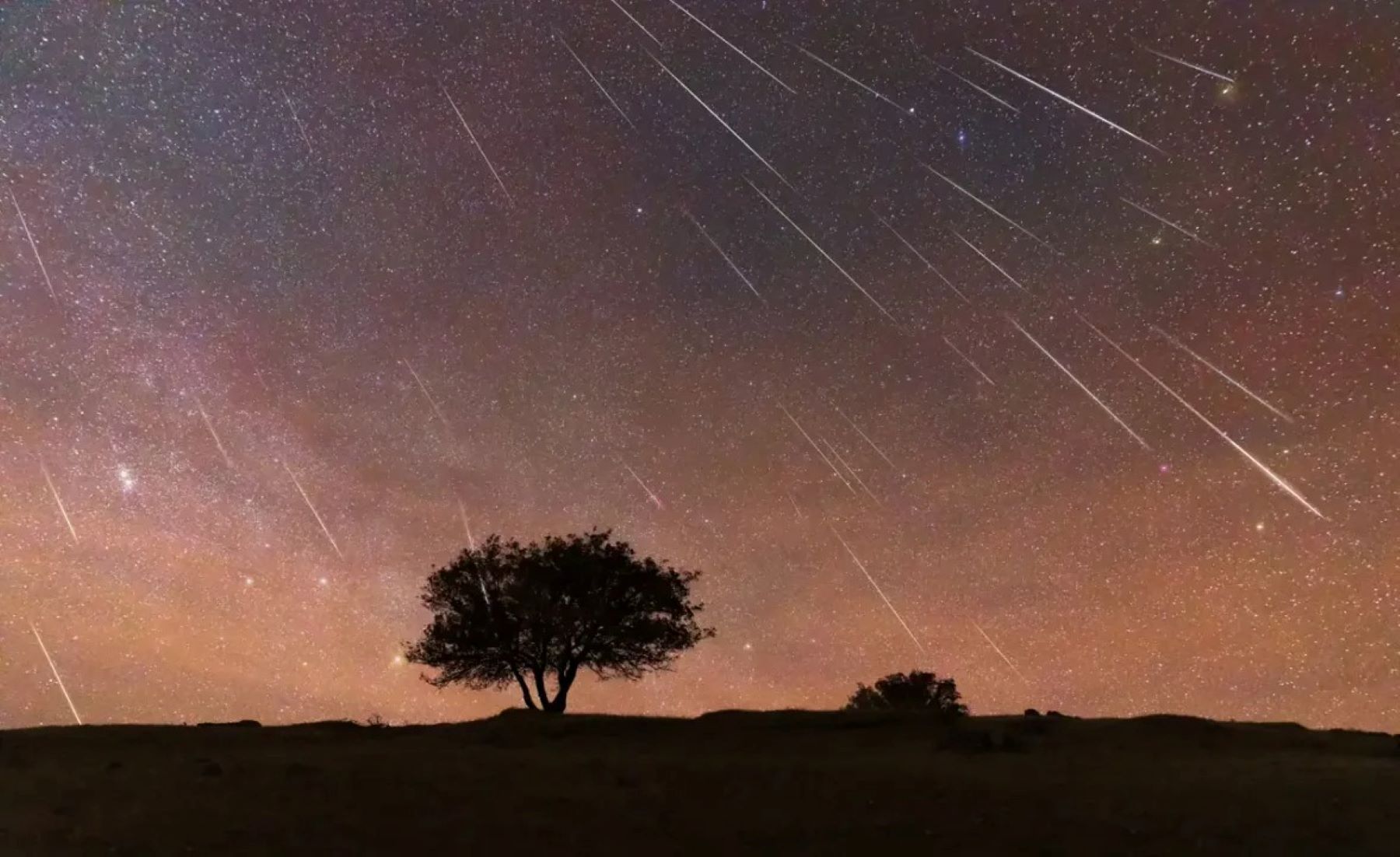 LLega la  lluvia de meteoros Táuridas. Foto: NA