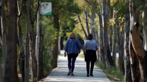 Clima en Neuquén y Río Negro: cómo estará el tiempo este viernes 29 de noviembre 2024