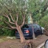 Imagen de La tormenta y el viento hicieron destrozos en el oeste de La Pampa: qué esperan Neuquén y Río Negro