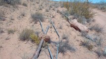 Imagen de Operativo en Loma La Lata: habló el dueño de las tierras en conflicto con una comunidad mapuche