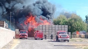 Voraz incendio de bines en un frigorífico de Allen: hay un herido mientras trabajan para controlarlo