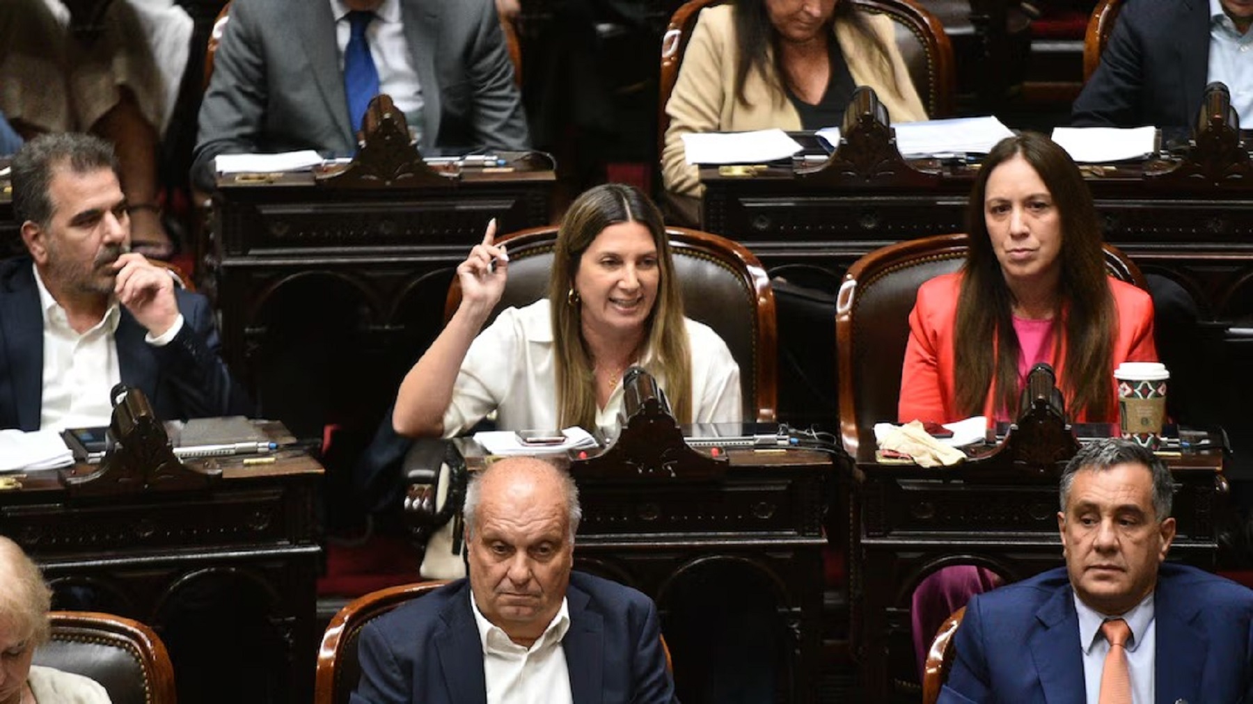 Ficha Limpia, fallida en Diputados. Foto: gentileza Infobae. 