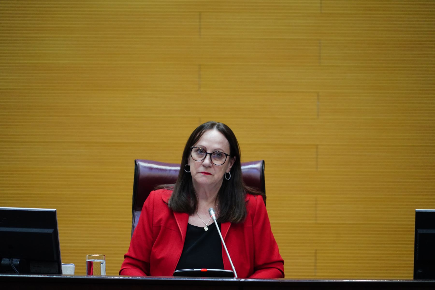 Reina estrenará presidencia en 2025. Mientras gobernó el MPN nunca se reunió los consensos en la Legislatura para aprobar este órgano. Foto Cecilia Maletti.