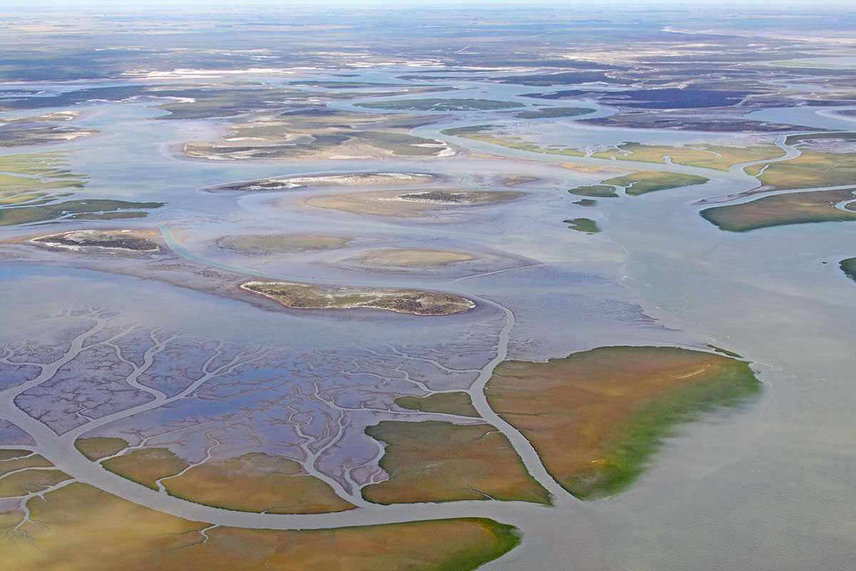 Está previsto que el proyecto se instale en el estuario de Bahía Blanca. Foto: gentileza. 