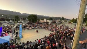 Todo tipo de bebidas autóctonas con frutos y hierbas de la región, presentes en el primer festival de El Bolsón