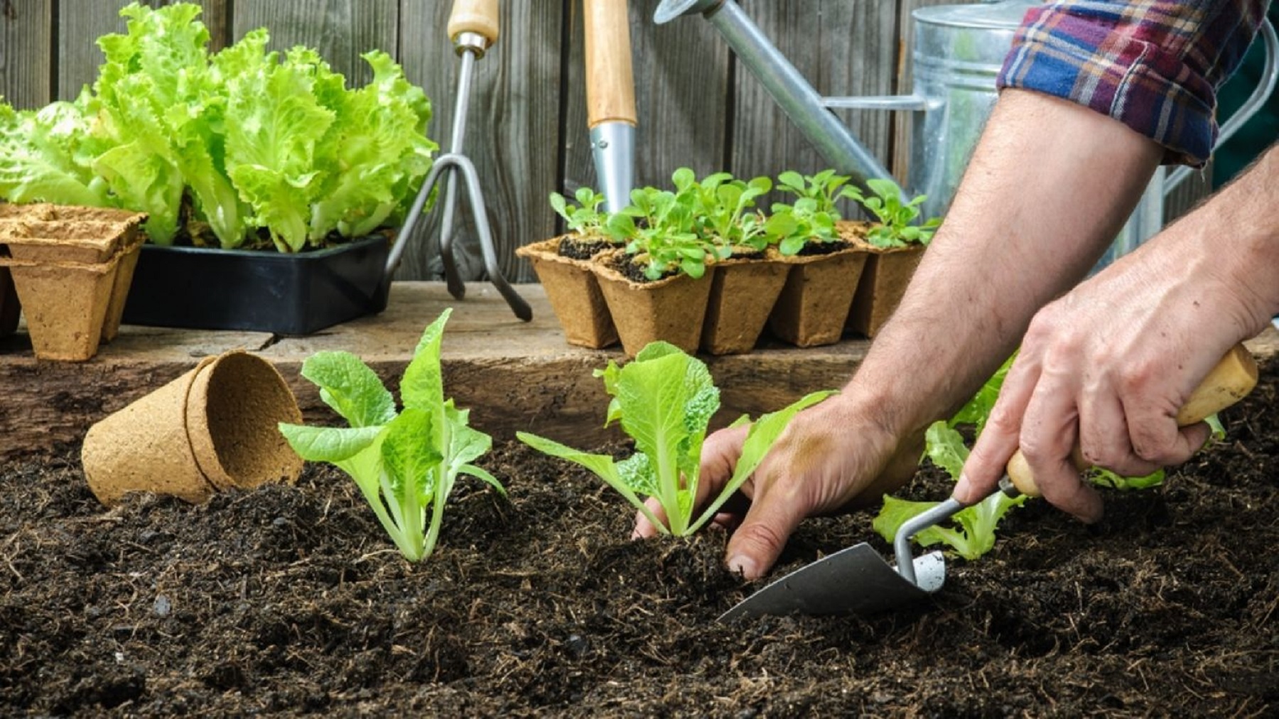 Capacitaciones en jardinería, parques y espacios verdes en Cipolletti