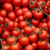 Imagen de Cultivá tus propios tomates cherry en casa: los trucos para que sea fácil y rápido