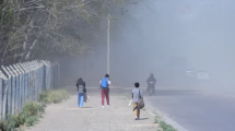 Imagen de Viento en Neuquén y Río Negro: a qué hora empiezan las fuertes ráfagas este viernes