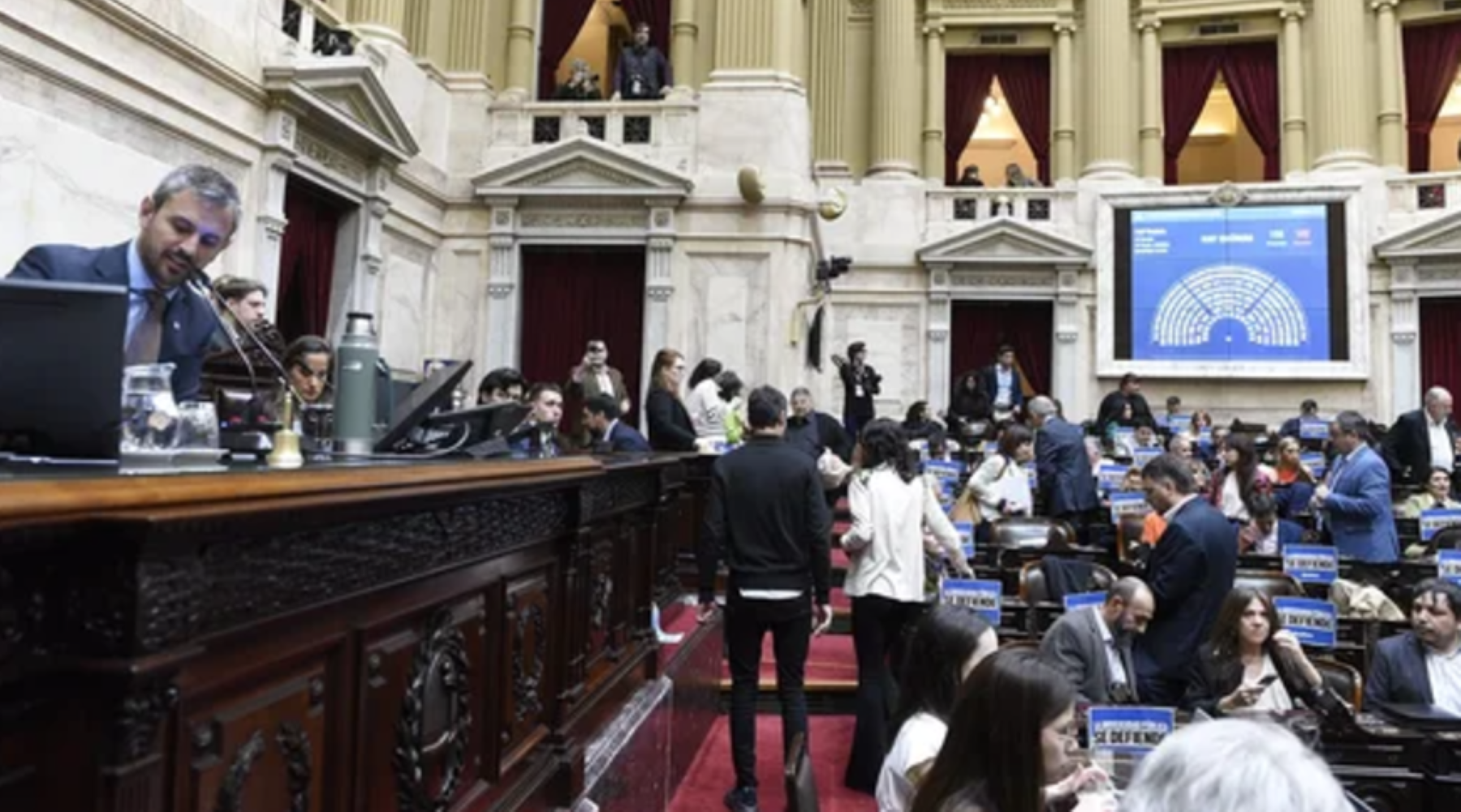 Ficha Limpia, fallida en Diputados. Foto: gentileza NA. 