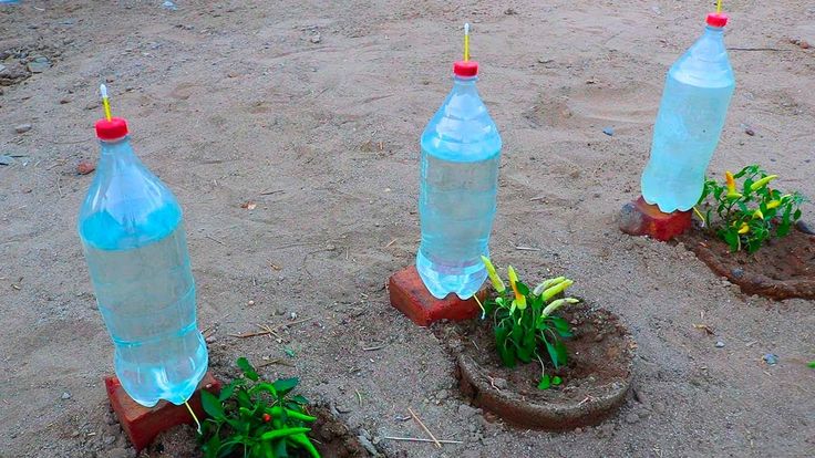 Es un sistema de irrigación que entrega agua de manera lenta y directa a las raíces de las plantas, optimizando su consumo. 