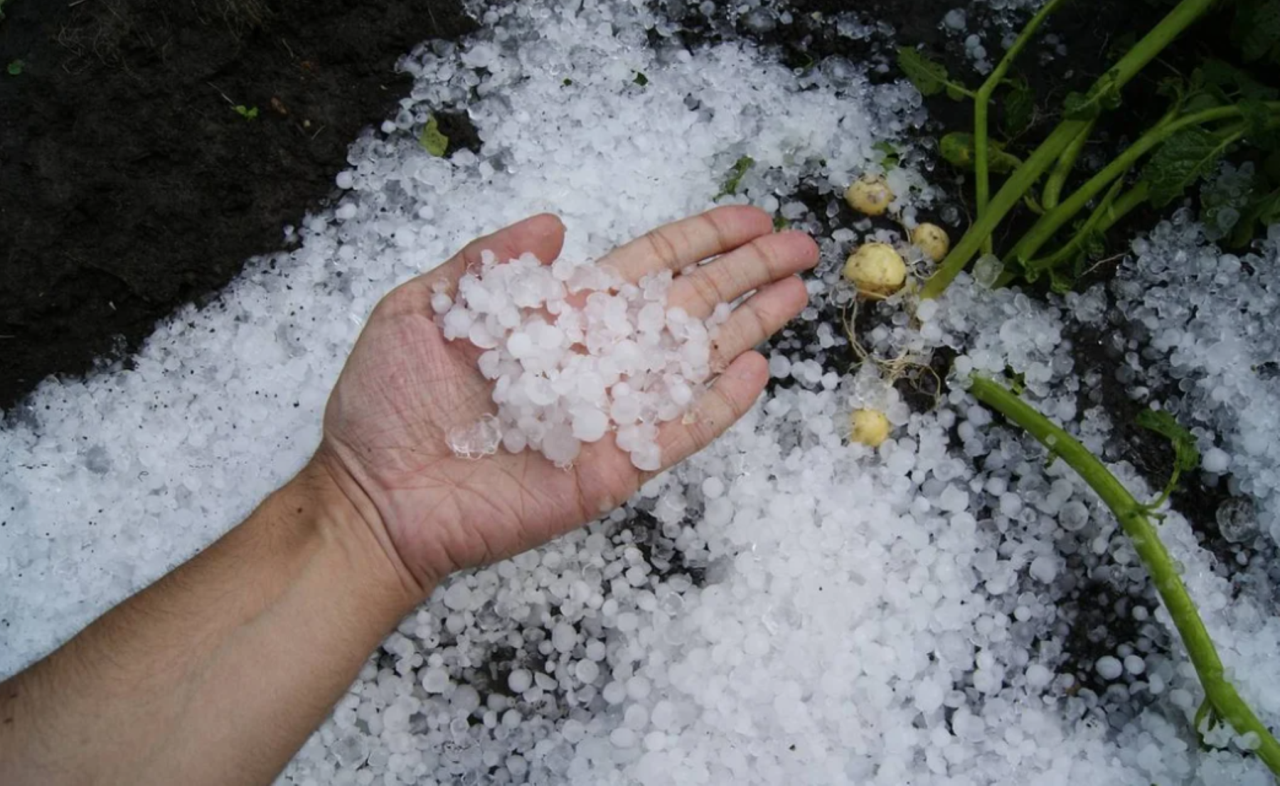 Granizo y tormentas en ocho provincias de Argentina. Foto: NA