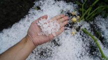 Imagen de Alerta por granizo y tormentas en Buenos Aires este viernes: hay otras siete provincias afectadas