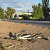 Imagen de Atraparon al conductor que chocó a la joven ciclista que pelea por su vida en Neuquén