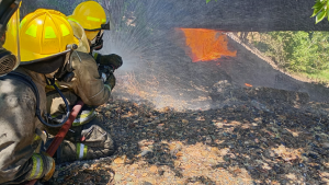 Video | Impactante incendio en el Paseo de la Costa de Neuquén: el fuego afectó un caño de gas y cables de luz