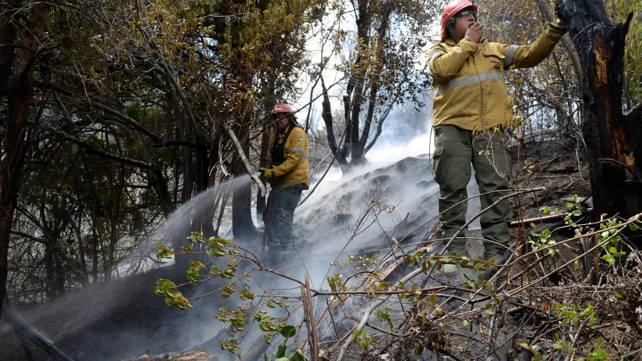 La prevención de incendios forestales es un tema de alta prioridad para la región andina. (archivo)