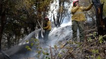 Imagen de Incendios forestales en Neuquén: hay tres focos activos en el Parque Lanín