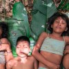 Imagen de Los Niños Perdidos: el increíble documental de los hermanos que sobrevivieron 40 días en la selva