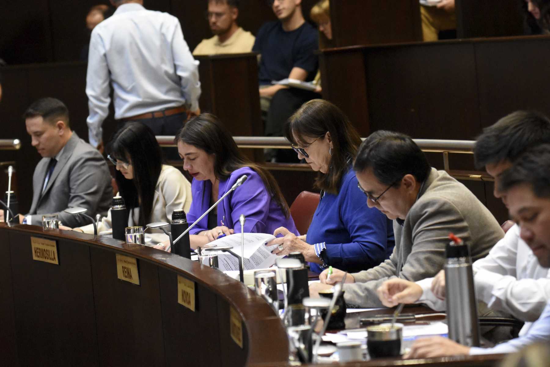 Los diputados también sancionarán el régimen impositivo para el próximo año. Foto: Matías Subat.