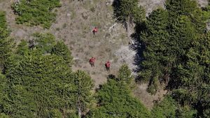 Buscan a un turista inglés en el parque Lanín: ampliaron la zona de rastrillaje en Neuquén