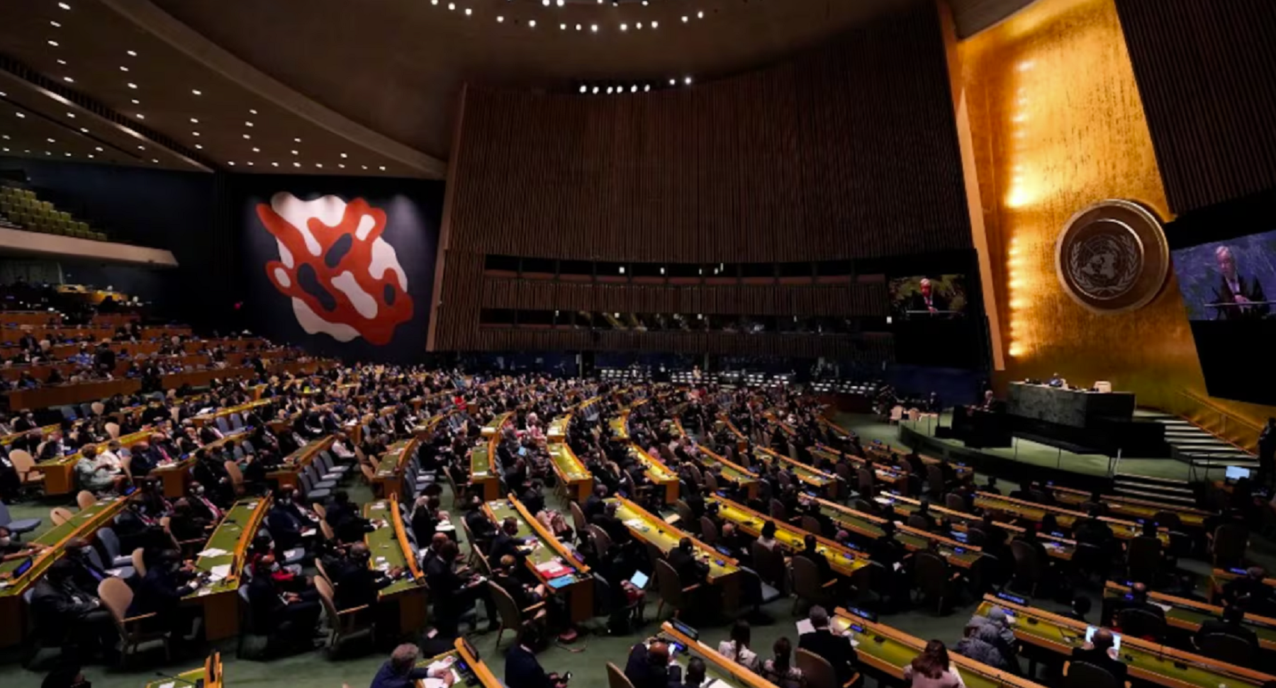 Argentina votó en contra  de una resolución para prevenir la violencia contra la mujeres. 