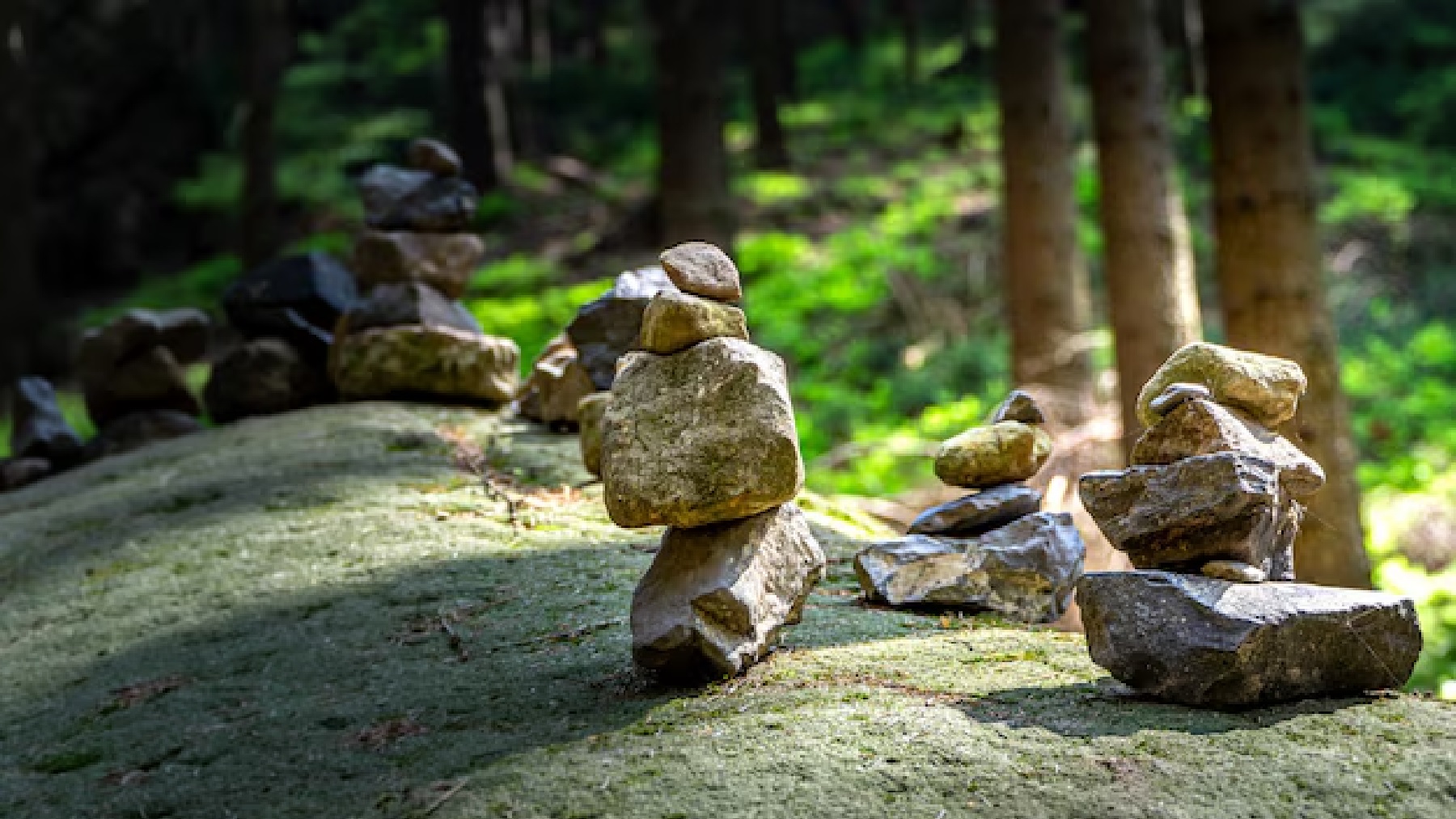 Las piedras en los bosques tienen una energía especial.