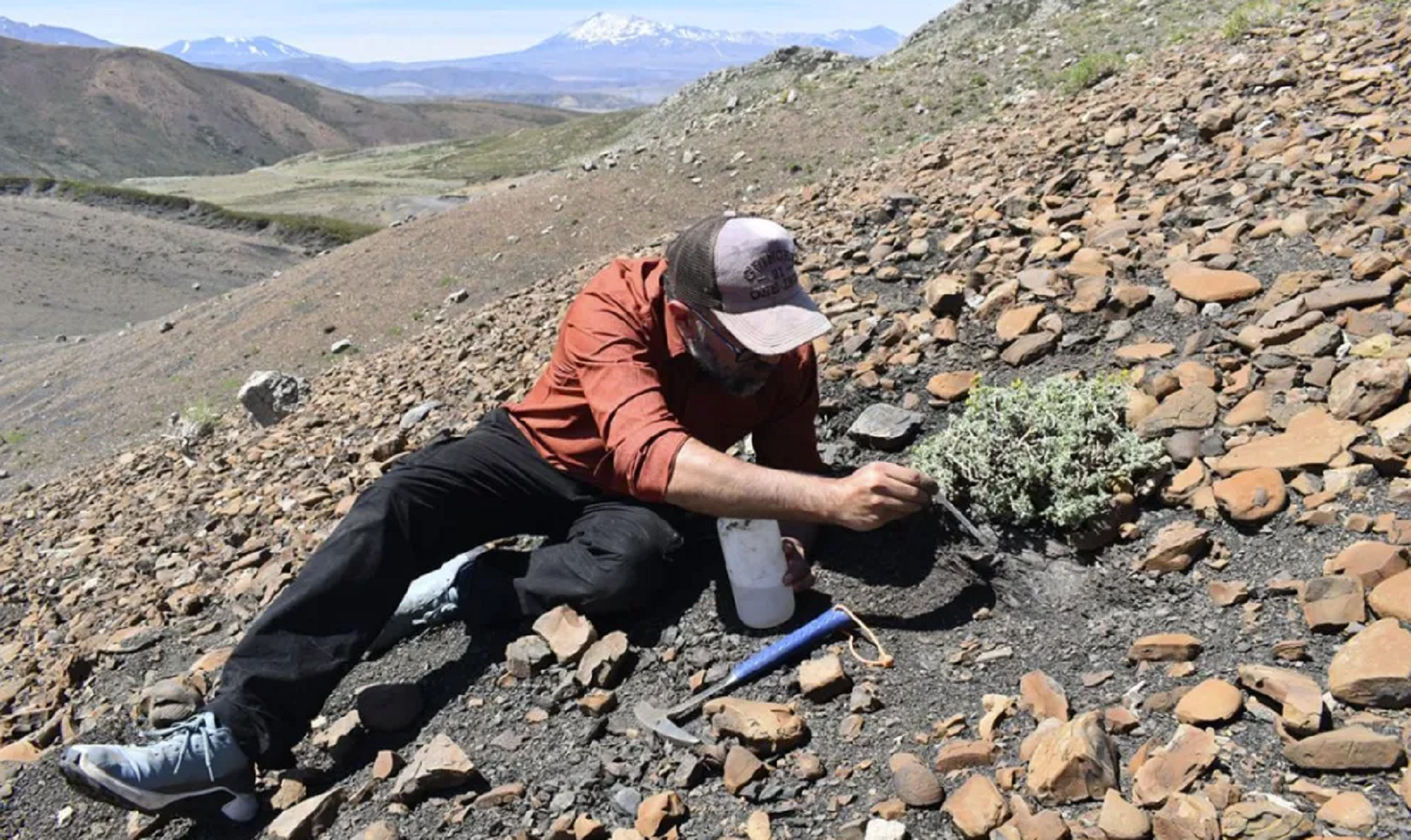 Hallan restos fósiles marinos en Neuquén. Foto: Neuquén Informa