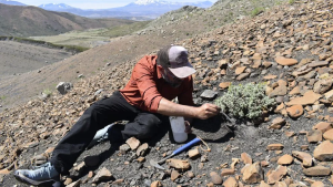 Hallan más fósiles en el norte de Neuquén: son de reptiles marinos que vivieron hace 150 millones de años