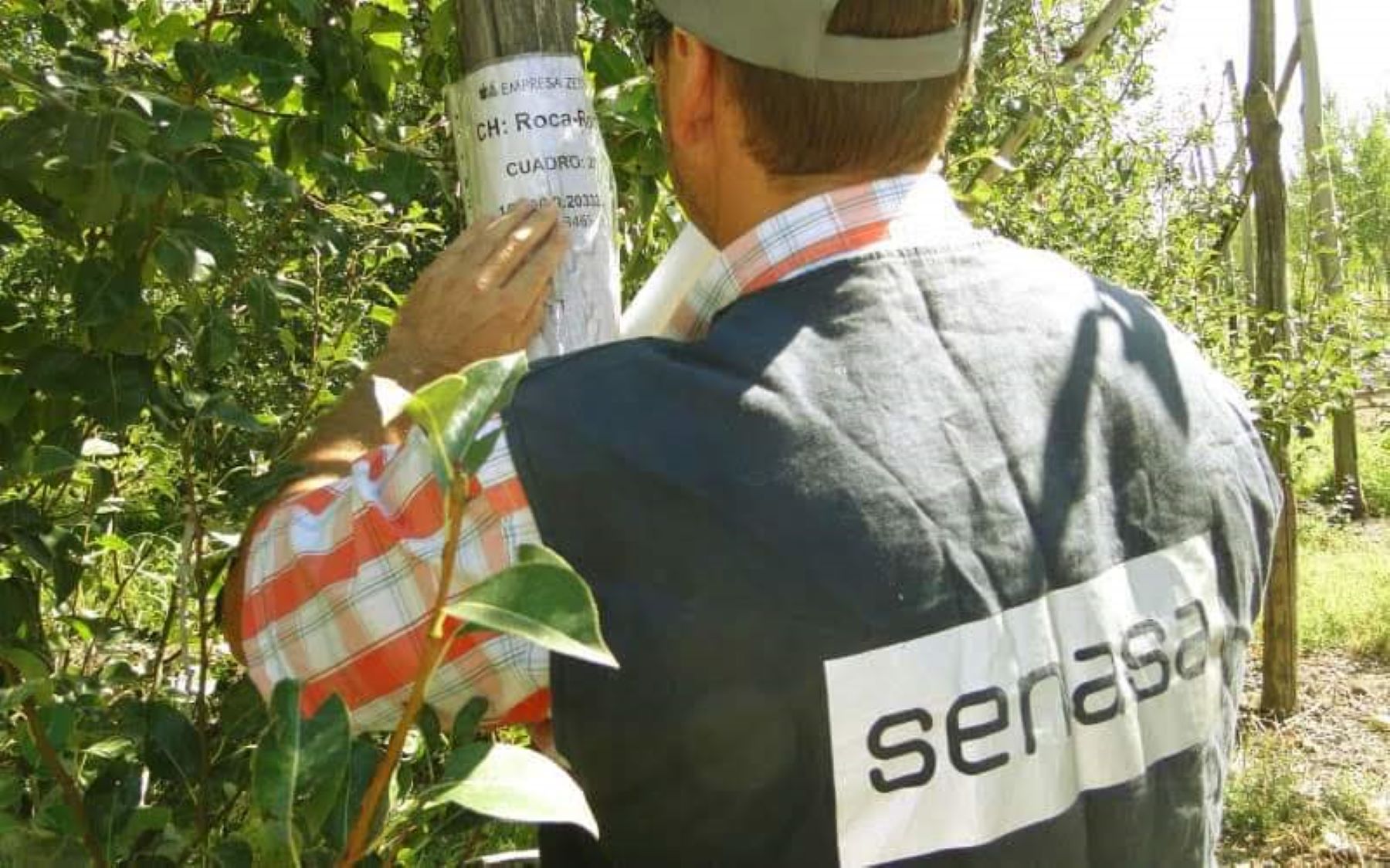 El Senasa hará capacitaciones en Neuquén y Río Negro. Foto: Gentileza. 