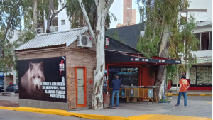 «Hola, necesito un favor»: la ayudaron en un histórico kiosco de Neuquén