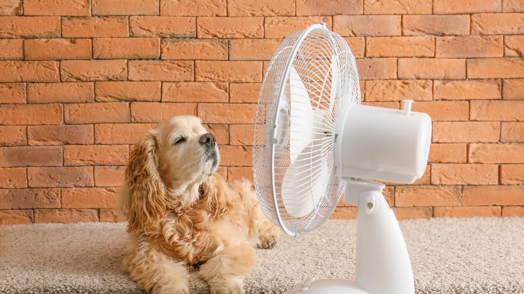 El método para que el ventilador enfríe como el aire acondicionado. 