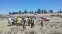 He was seriously injured after the stolen truck he was driving rolled over on Route 43 north of Neuquén.