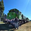 Imagen de Cazador de rieles: un encuentro con el Tren Patagónico, que une el mar a cordillera