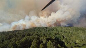 Incendio forestal en parque Nahuel Huapi: se complica el combate por el viento y las altas temperaturas