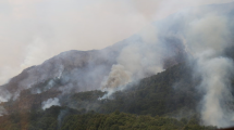 Imagen de Incendio en el parque Nahuel Huapi: el humo complica el combate y preocupa la alerta por tormentas