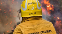 Imagen de Incendio forestal en parque Nahuel Huapi: cómo es la zona afectada en la que trabajan más de 60 brigadistas