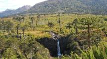 Imagen de Habilitaron dos emblemáticos senderos en el Parque Nacional Lanín: horarios y dificultad de recorrido