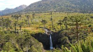 Habilitaron dos emblemáticos senderos en el Parque Nacional Lanín: horarios y dificultad de recorrido