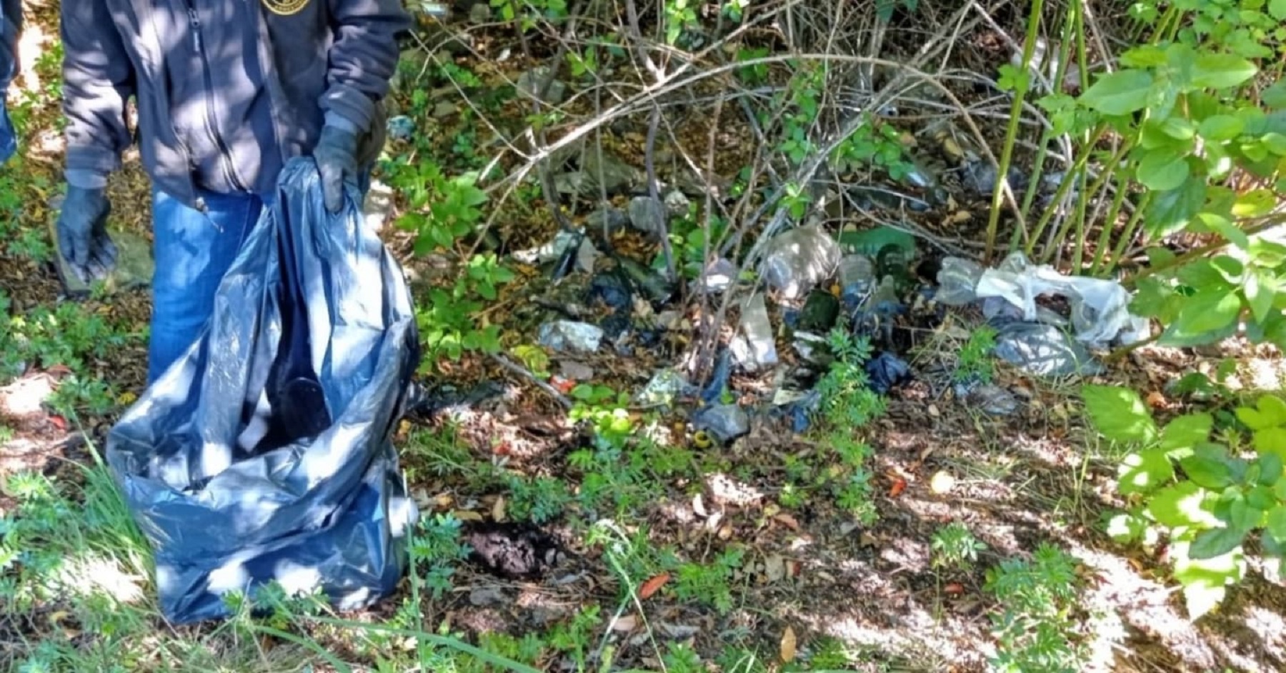 Recolectaron 200 kilos de basura. Foto: Parque Nacional Nahuel Huapi. 