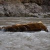 Imagen de Video: cómo es la zona del río Varvarco en la que cayó el criancero de Neuquén