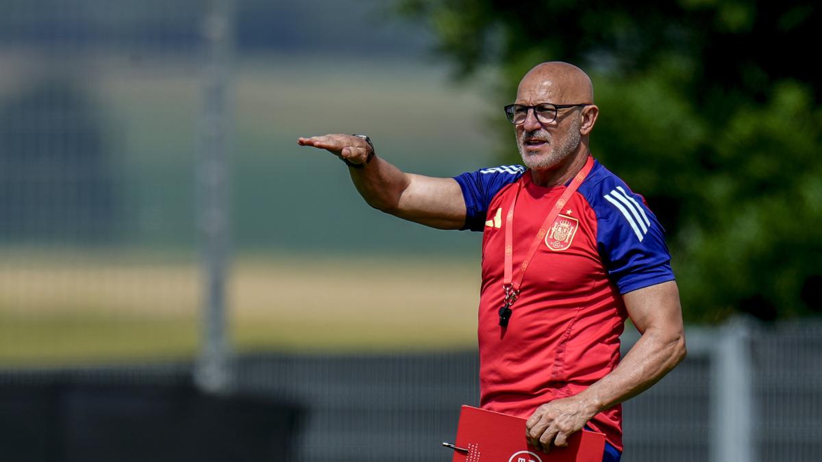 Luis de la Fuente aseguró que quiere jugar la Finalissima con Argentina.