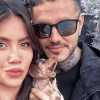 Imagen de Con quién se quedó Cookie, el perrito salchicha de Wanda Nara y Mauro Icardi