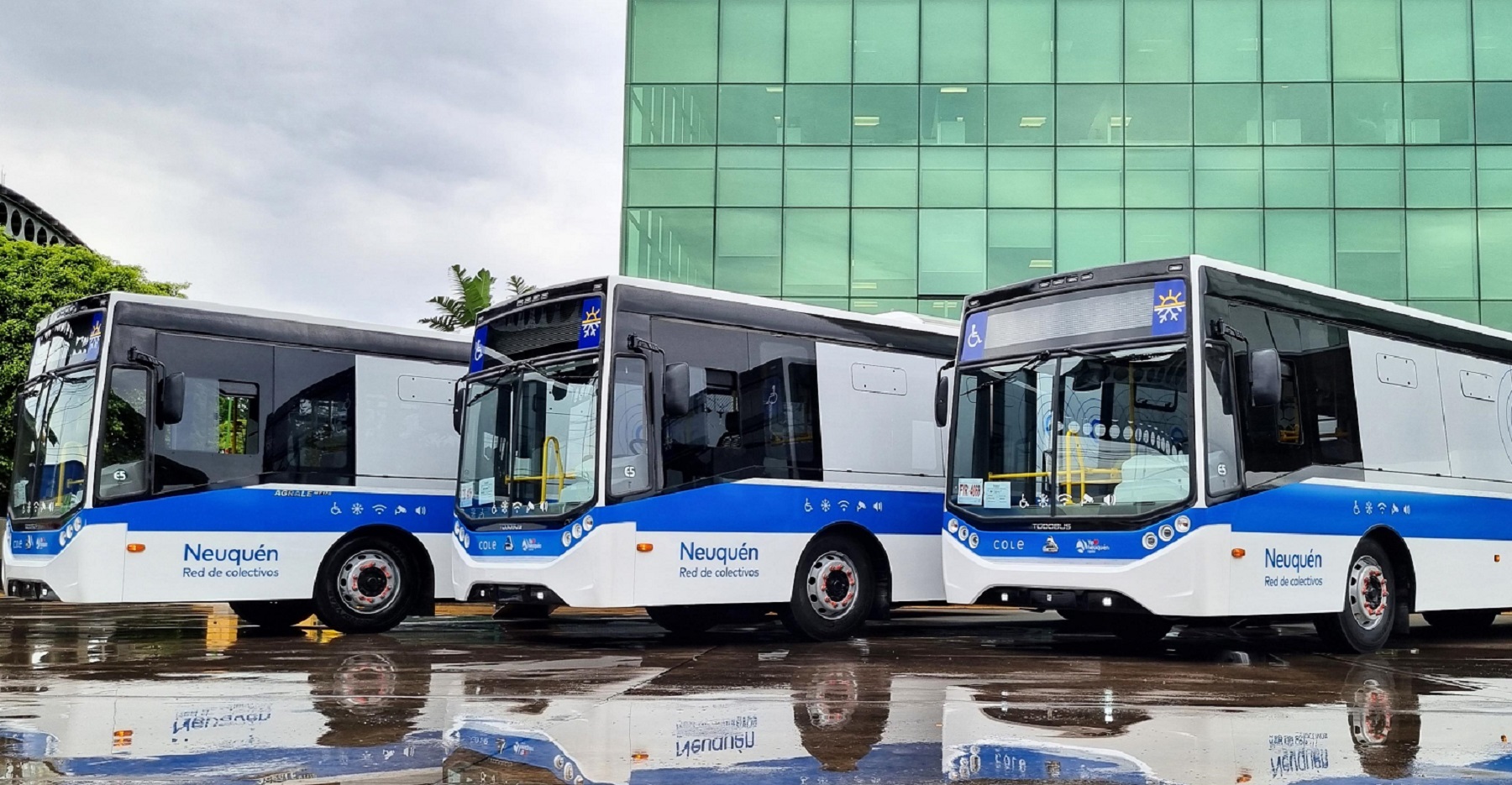 Nuevos colectivos en Neuquén. Foto: gentileza. 