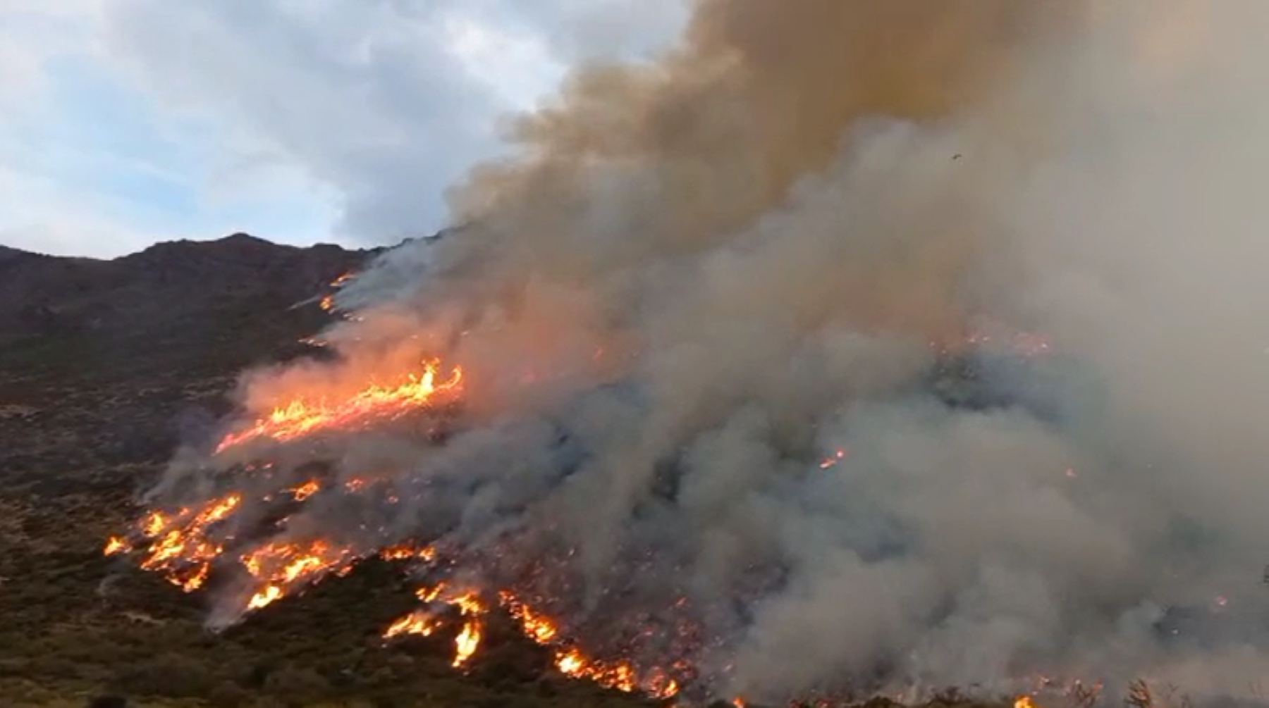 Se perdieron cerca de 450 hectáreas. 