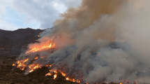 Imagen de Grave incendio forestal cerca de Caviahue, en Neuquén: el fuego está contenido, pero preocupa el viento