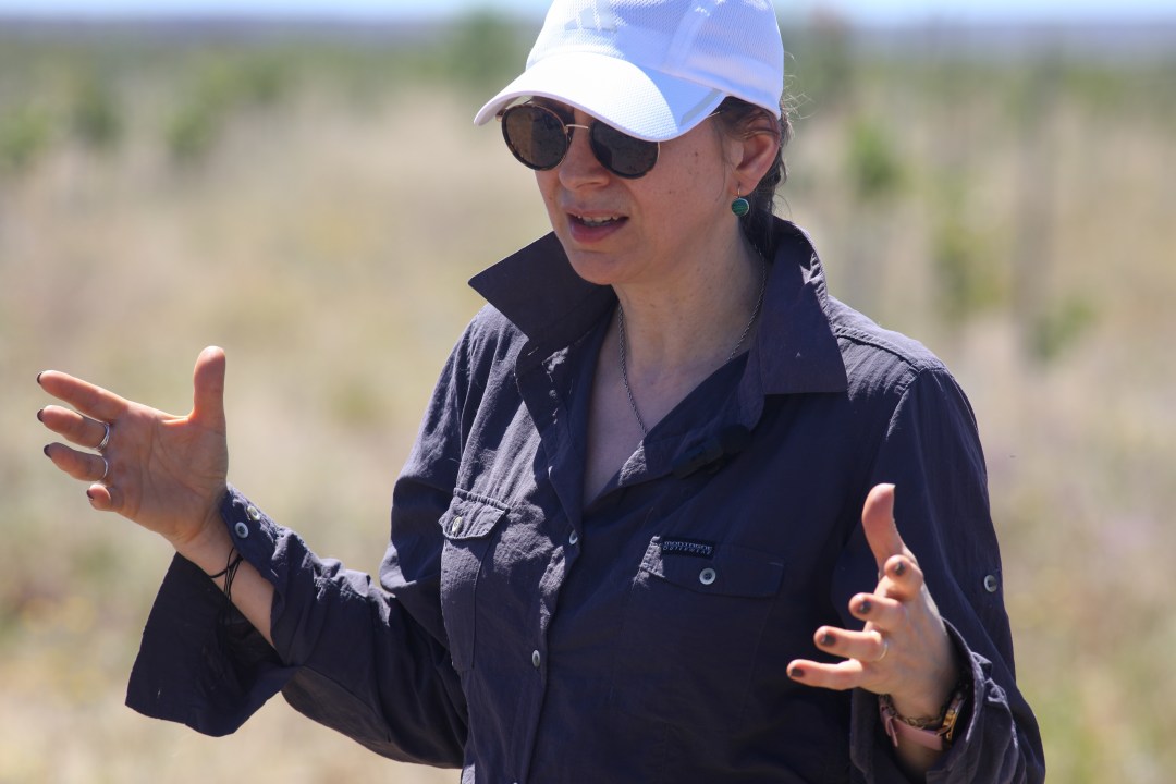 Rosa de Lima Holzmann, ingeniera agrónoma especialista de la Estación Experimental Agropecuaria INTA Alto Valle.