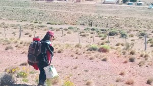 Nochebuena en Onelli: hizo dedo con tal de llegar a tiempo para cenar con su hermano