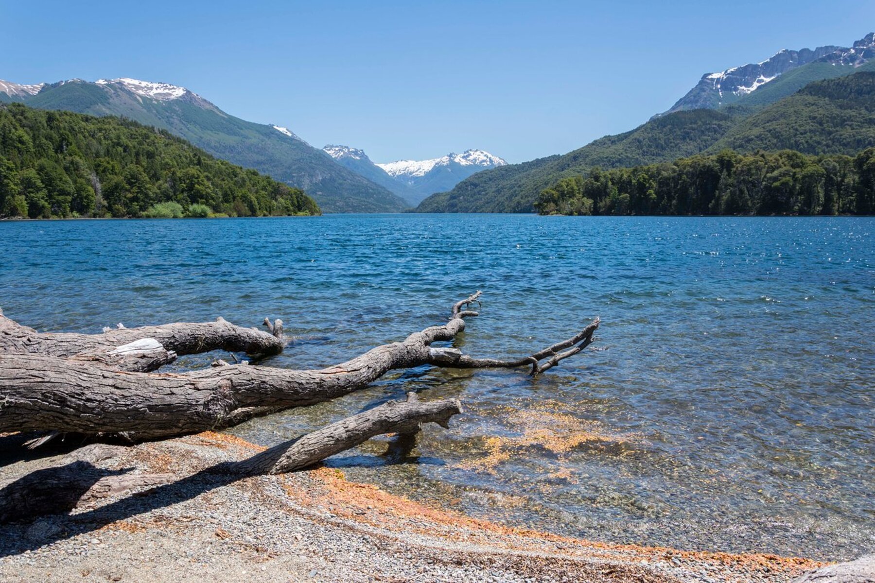 Los lagos de la Patagonia, como el Puelo, están experimentando un crecimiento exponencial de algas.